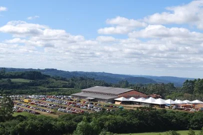 festa do cáqui, arroio do padre, rdgol