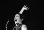 40 anos do álbum “Saudade do Brasil”, de Elis Regina