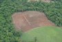 Rio Grande do Sul reduz desmatamento, mas segue entre os Estados que mais destrói mata nativa 