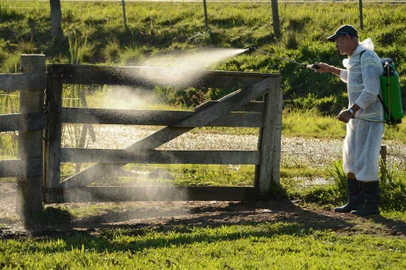 Propriedade onde foi detectada ocorrência de mormo, em Rolante