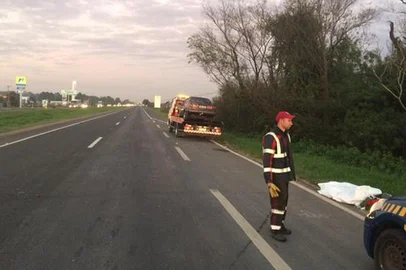atropelamento com morte, br-290, eldorado do sul, rdgol