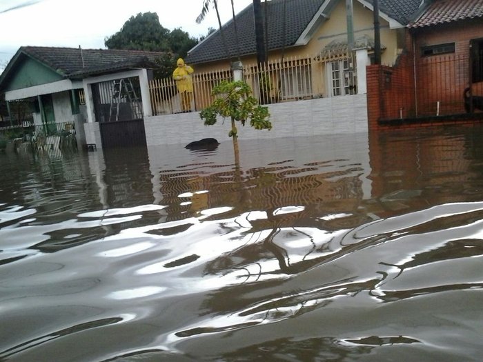 Arquivo Pessoal / Leitor Diário Gaúcho