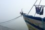 barco, pesqueiro, nevoeiro, rdgol