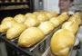 Safra ruim de trigo nacional pode elevar preço do pão
