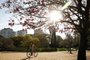 PORTO ALEGRE, RS, BRASIL, 10-08-2015: Ciclista circula no Parque Moinhos de Vento, em Porto Alegre. Apesar de ser inverno, o dia teve muito sol e temperatura de verão, em torno dos 30ºC. (Foto: Mateus Bruxel / Agência RBS)