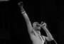 Vida de Freddie Mercury, vocalista do Queen, será contada em HQ