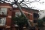  PORTO ALEGRE, RS, BRASIL 15/10/2015 - Árvore cai por cima de prédio no bairro Medianeira, em Porto Alegre. (BÁRBARA MONTEIRO/ARQUIVO PESSOAL).