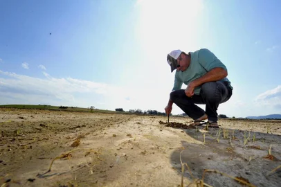  SANTA MARIA, RS, BRASIL, 16-10-2015.Gerson Bianchin, 46 anos, é produtor de arroz em Santa Maria e vive a incerteza quanto à lavoura de arroz. Cerca de 15% da área já foi plantada, mas está demorando a germinar. No restante, a água alta e a previsão de ainda mais chuva preocupa.FOTO: GERMANO RORATO/AGÊNCIA RBS, GERAL