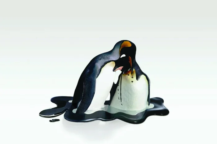 Reprodução / Takeshi Kawano