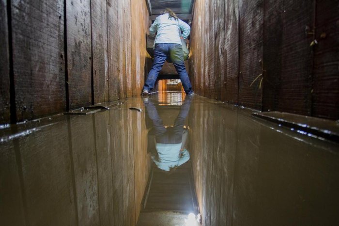 HECTOR GUERRERO / AFP