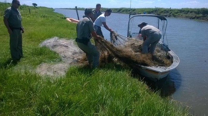 Patram / Divulgação