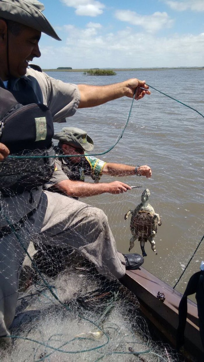 Patram / Divulgação