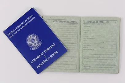  

2010 teve record de empregos.