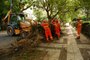  Porto Alegre, RS, Brasil, 16-02-2016. Equipes do DMLU darão início ao mutirão de limpeza de resíduos do temporal, principalmente troncos e galhos de árvores. (FOTO: CARLOS MACEDO/AGÊNCIA RBS)