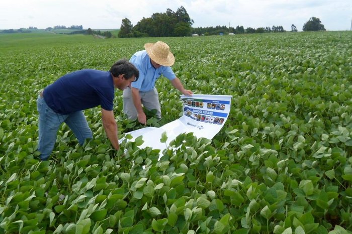 Emater / Divulgação
