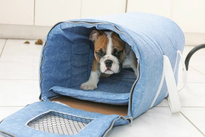 Rogério da Silva / Agência RBS