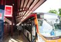 Chamada por aplicativo e ônibus elétricos: o que está previsto na nova concessão do transporte coletivo em Caxias