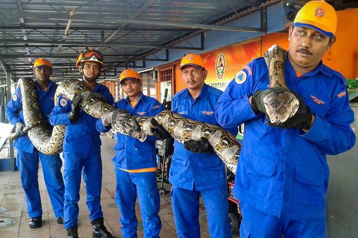 Malaysia Civil Defence Departmen / AFP