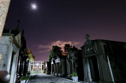  PORTO ALEGRE, RS, BRASIL - 13.05.2016 - Projeto Passeios pela Arte, no Cemitério da Santa Casa de Misericórdia de Porto Alegre. O evento tem como objetivo abordar a arte cemiterial, relacionando Arte, História e Arquitetura e as influências dos túmulos, mausoléus e alegorias (representações religiosas, positivistas, populares, entre outras) no cemitério. (FOTO: JÚLIO CORDEIRO/AGÊNCIA RBS, Editoria Sua Vida)