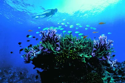 Grande Barreira de Corais da Austrália.