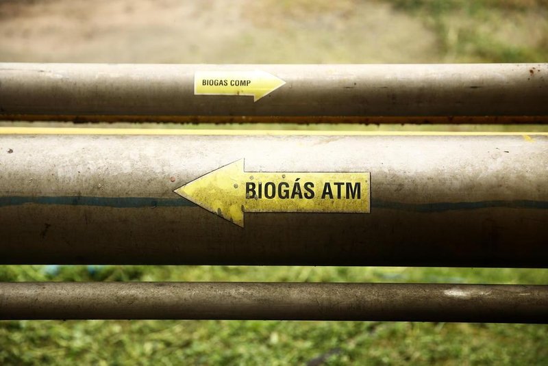  MONTENEGROL, RS, BRASIL, 26/07/2016 -  Unidade de compostagem do Projeto Biogás - Consorcio Verde Brasil (ECOCITRUS, NATUROVOS e SULGÁS). Empresas investem na produção de biometano a partir de dejetos orgânicos provenientes da agricultura. (FOTO: CARLOS MACEDO/ AGÊNCIA RBS).