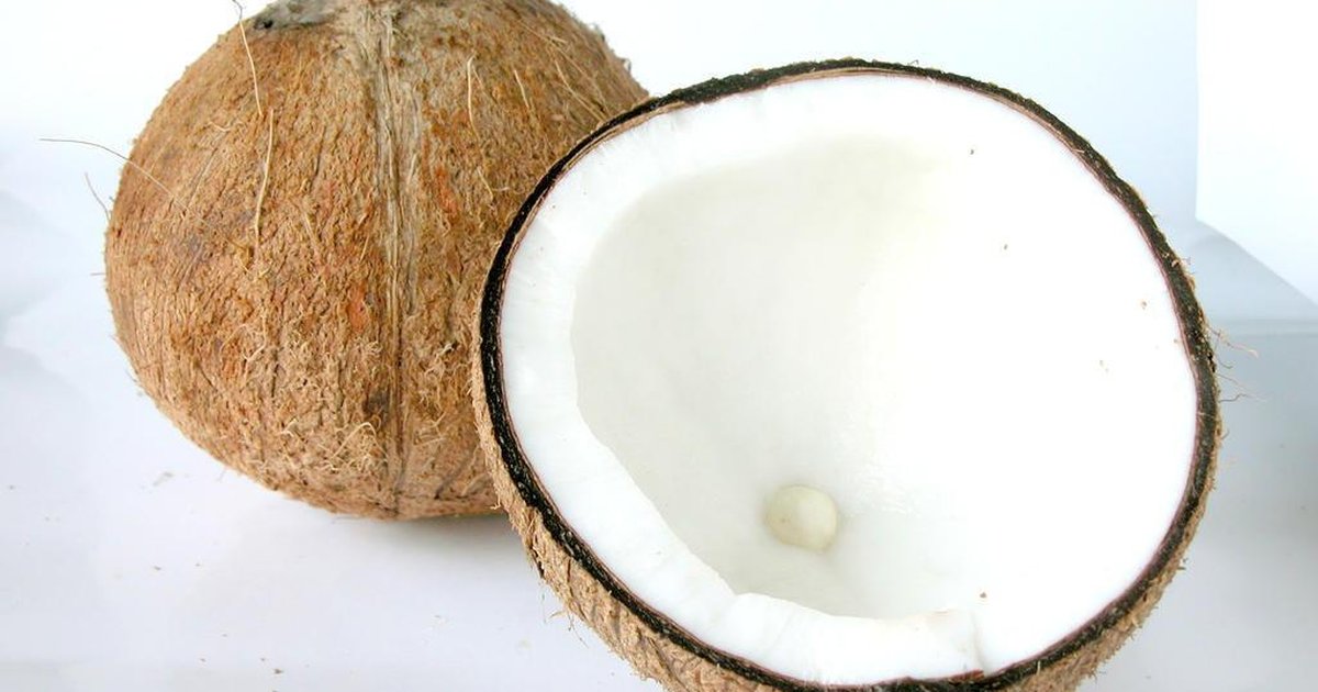 Benefícios da polpa do côco verde para a saúde Coco Conheca Os Beneficios Da Fruta E Dos Seus Derivados Para A Saude Gzh