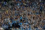  PORTO ALEGRE, RS, BRASIL 02/11/2016 - Grêmio recebe o Cruzeiro na noite desta quarta-feira, na Arena, em jogo de volta da semifinal da Copa do Brasil. (FOTO: ANDRÉ ÁVILA/AGÊNCIA RBS).