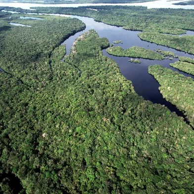 p. 24O Parque Nacional de Anavilhanas é uma das atrações da Amazônia e está na disputa da eleição das 7 MARAVILHAS NATURAIS. Fonte: Divulgação Fotógrafo: ARQUIVO ICMBIO