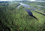 Plano contra desmatamento na Amazônia prevê rastreio de produtos agropecuários e minerais