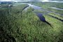 p. 24O Parque Nacional de Anavilhanas é uma das atrações da Amazônia e está na disputa da eleição das 7 MARAVILHAS NATURAIS. Fonte: Divulgação Fotógrafo: ARQUIVO ICMBIO
