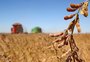 Agronegócio no Brasil dá salto em 20 anos e hoje equivale ao PIB da Argentina