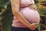 Campanha do governo federal para promover abstinência sexual deve começar em fevereiro