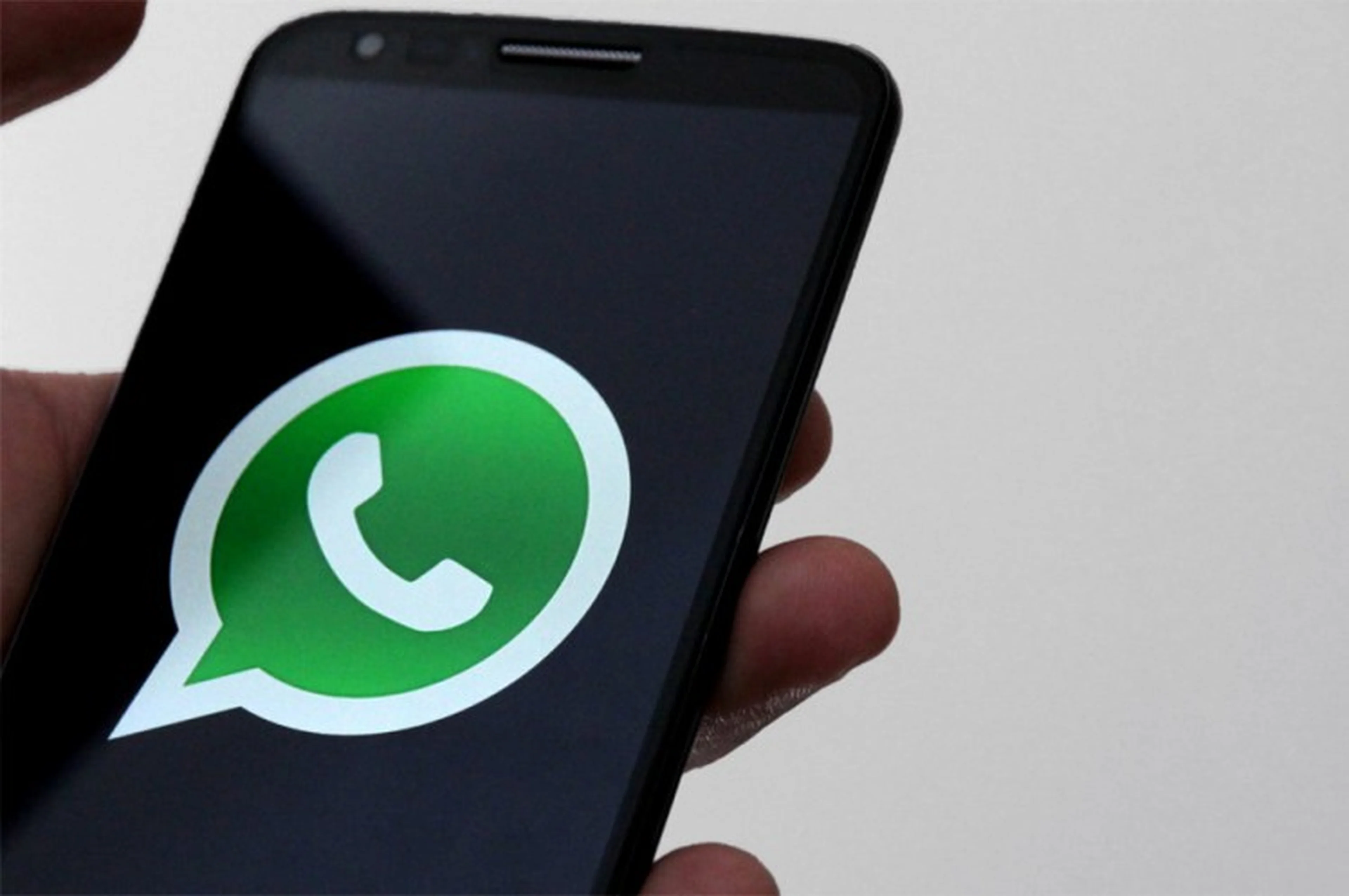 whatsapp, donna/whatsapp, donna 