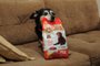 Pituco, cachorrinho de Paraí, ficou internacionalmente famoso por buscar a sua própria ração no pet shop. O vídeo em que mostra ele carregando o pacote já foi visualizado mais de 1,4 milhões de vezes no Facebook.