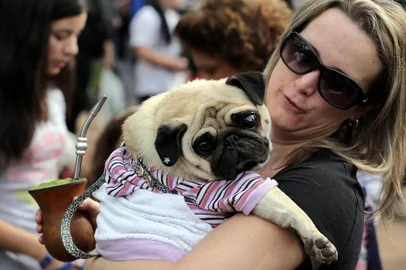  

PORTOALEGRE-RS-BR-DATA:20150712
1º Encontro de Pugs, no Parcão, reuniu dezenas de cães e seus donos.
Fabiana Tramontin Bonho(36), aproveitou o domingo de manhã e trouxe a cadela "July", de seis anos, para o encontro.
FOTÓGRAFO:TADEUVILANI