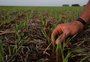 Rota inversa: caminhos e oportunidades para quem é da cidade e quer viver no campo