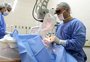Brasil tem 904 mil pessoas à espera de cirurgia eletiva no SUS, diz Conselho de Medicina