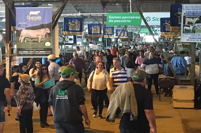 rdgol, expointer