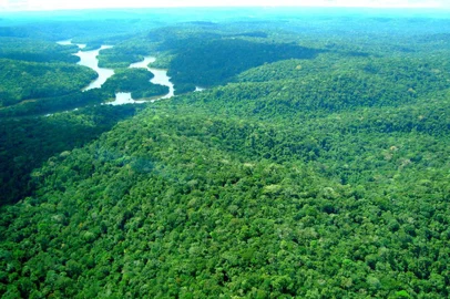  O Instituto de Desenvolvimento Florestal e da Biodiversidade do Estado do ParÃ¡ (Ideflor-bio) dÃ¡ inÃ­cio ao processo de concessÃ£o florestal no lote II do conjunto de Glebas Mamuru-Arapiuns, com realizaÃ§Ãµes de audiÃªncias pÃºblicas nos municÃ­pios de SantarÃ©m (13/06), Juruti (17/06) e Aveiro (20/06).FOTO: ASCOM IDEFLOR-BIODATA: 25.05.2016