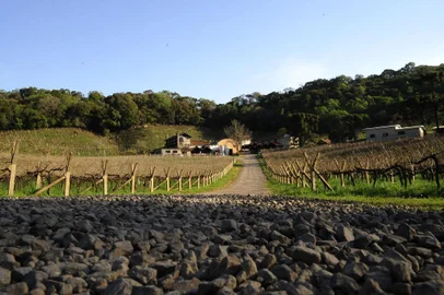  CAXIAS DO SUL, RS, BRASIL, 29/08/2017 - Empresariado investe em emprendimento próprio para tentar fomentar o turismo da Região. NA FOTO:  Cantina Tonet, onde o proprietário, Ivo Tonet, está investindo em melhorias para atrair turistas. Entre as benfeitorias estão banheiro para deficientes, e espaço para envelhecimento de vinhos e espumantes, aberto à visitação. (Marcelo Casagrande/Agência RBS)