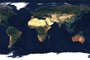 Tipo o Google Earth, mas sem as habituais nuvens atrapalhando a visão. Com base em imagens de satélites da Agência Espacial Europeia (ESA), uma empresa alemã publicou um mapa-múndi que revela uma versão bem mais verde da Terra. Para garantir a melhor vista da vegetação, foi feita uma colagem de fotos capturadas durante o verão de cada hemisfério. Ao todo, mais de 80 trilhões de pixels permitem chegar bem pertinho de pontos como a floresta amazônica.