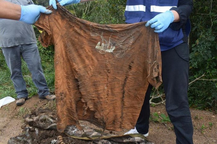 Duas ossadas encontradas em matagal no bairro Jardim Carvalho, em Porto Alegre. Roupas podem ajudar a identificar os corpos.
