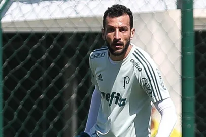 Edu Dracena, Palmeiras