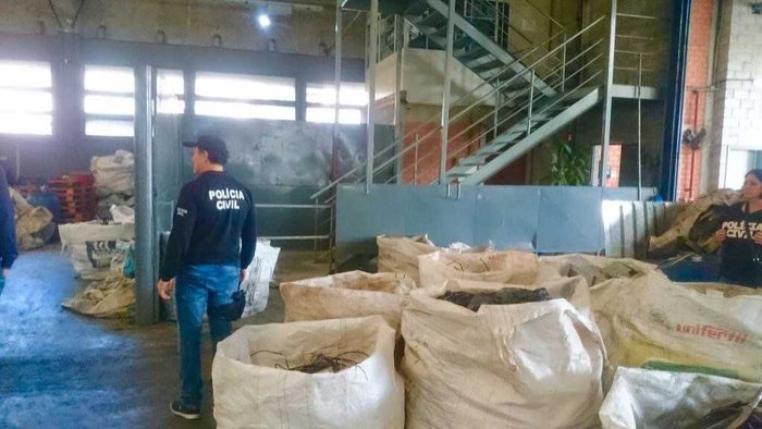 Polícia Civil  / Divulgação 