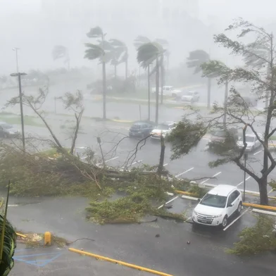Furacão María derruba árvores e danifica carros em Porto Rico
