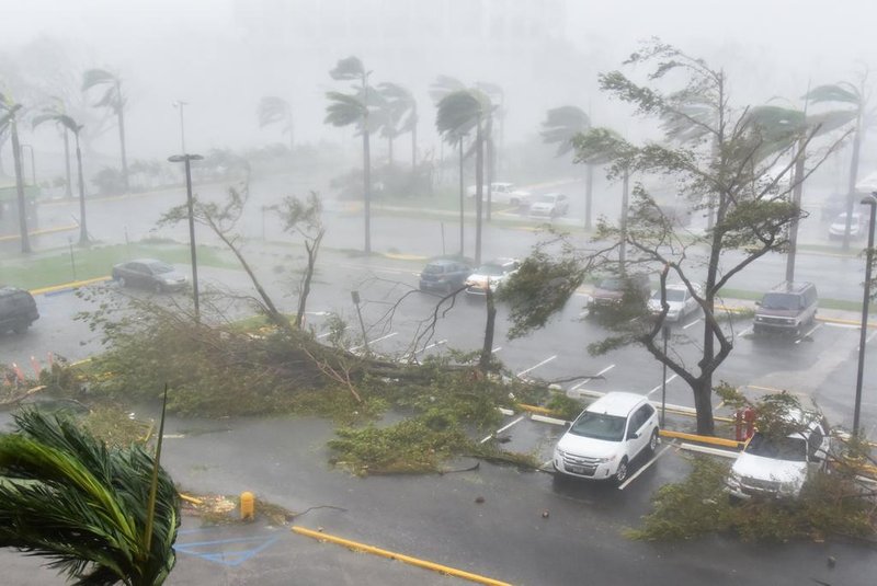 Furacão María derruba árvores e danifica carros em Porto Rico