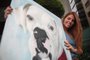  

PORTO ALEGRE, RS, BRASIL - 2017.01.06 - Artista Paula Brenner pinta quadros de pets, como seu cachorro Tobias. (Foto: ANDRÉ ÁVILA/ Agência RBS)