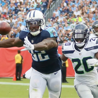 futebol americano, nfl, Delanie Walker, Tennessee Titans