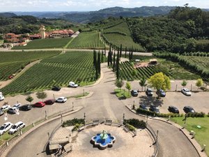 Divulgação Spa do Vinho