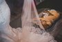 Cachorro de rua invade casamento e se abriga 
no véu da noiva 